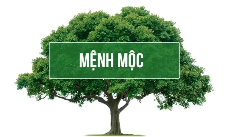 Mệnh Kim và mệnh Mộc: Đặc điểm và sự tương khắc trong ngũ hành